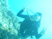 Want to Try Diving? 2765165